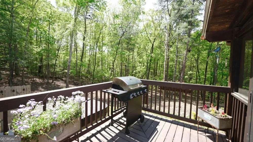 210 Shade Tree LN Mineral Bluff, GA 30559
