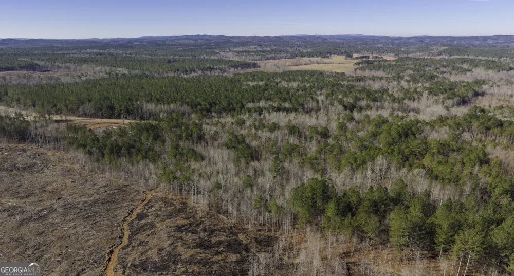 0 County Road 49 Fruithurst, AL 36262