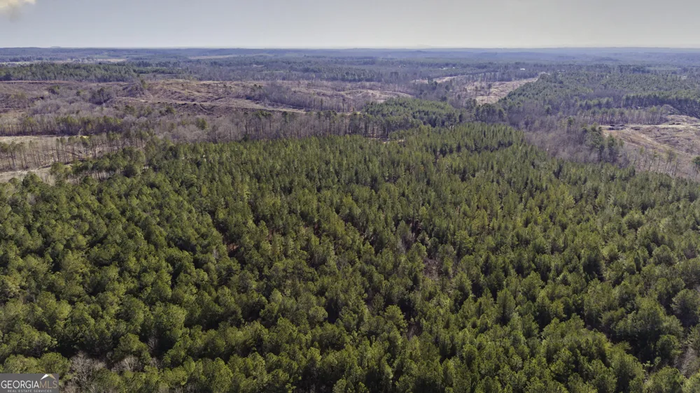 0 County Road 49 Fruithurst, AL 36262