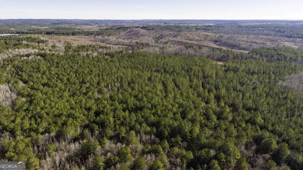 0 County Road 49 Fruithurst, AL 36262