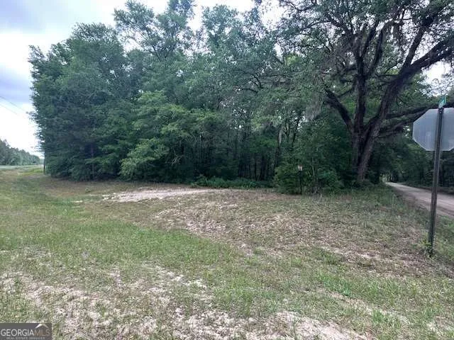 0 Old Louisville RD Guyton, GA 31312