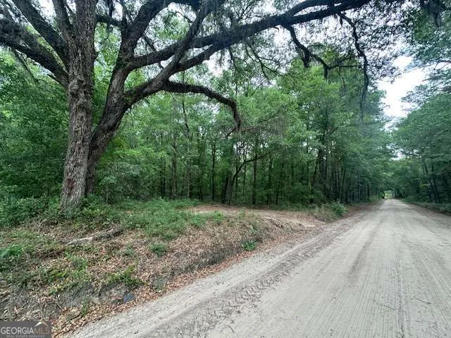 0 Old Louisville RD Guyton, GA 31312