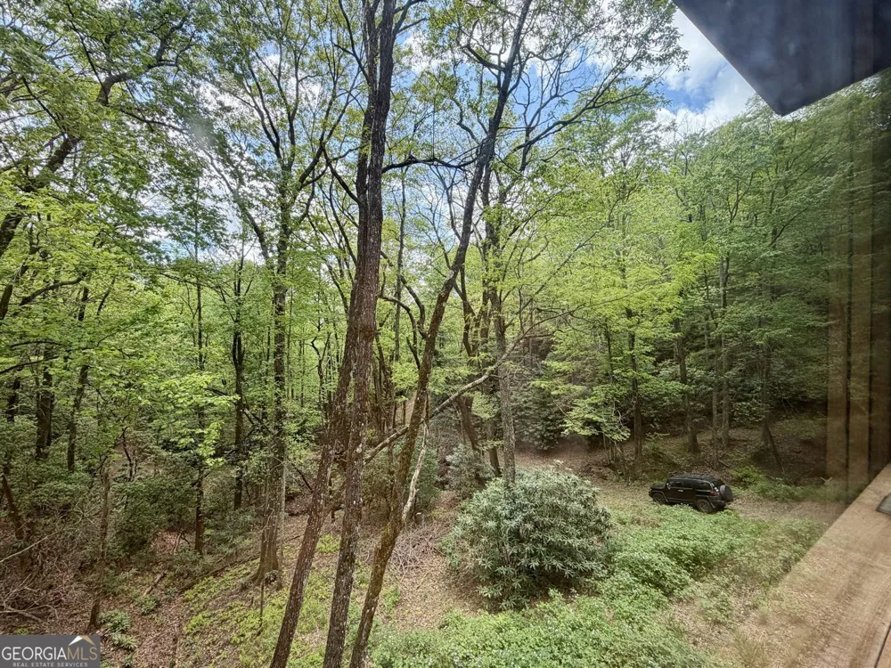 881 Mule Branch RD Helen, GA 30545