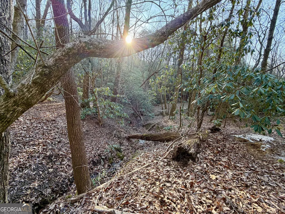 881 Mule Branch RD Helen, GA 30545