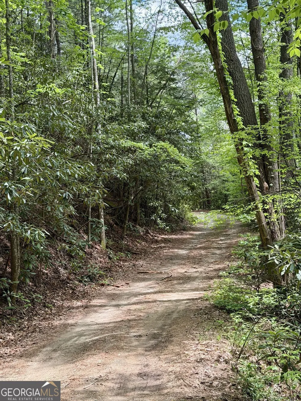 881 Mule Branch RD Helen, GA 30545