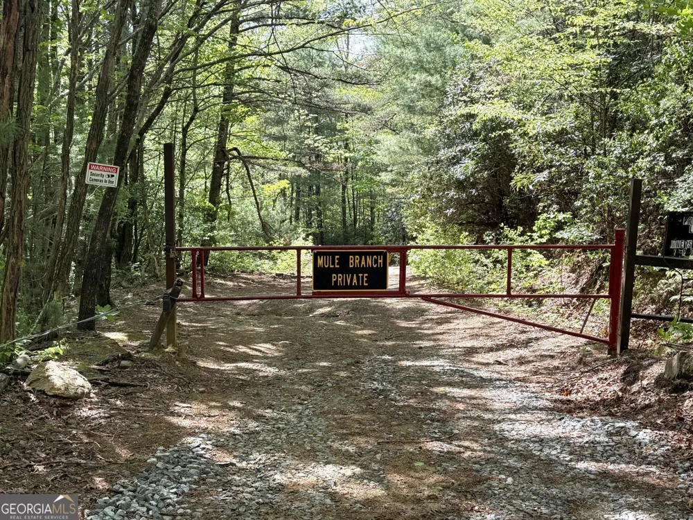 881 Mule Branch RD Helen, GA 30545