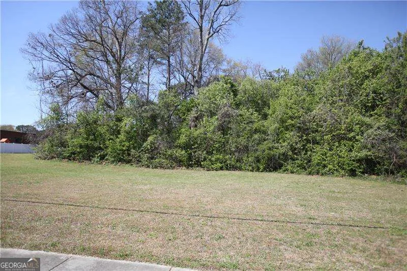 6575 River Park DR Riverdale, GA 30274