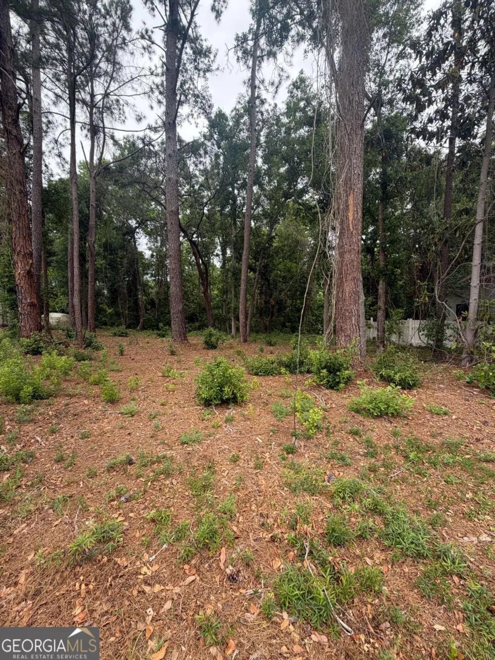134 Palmera LN Brunswick, GA 31520