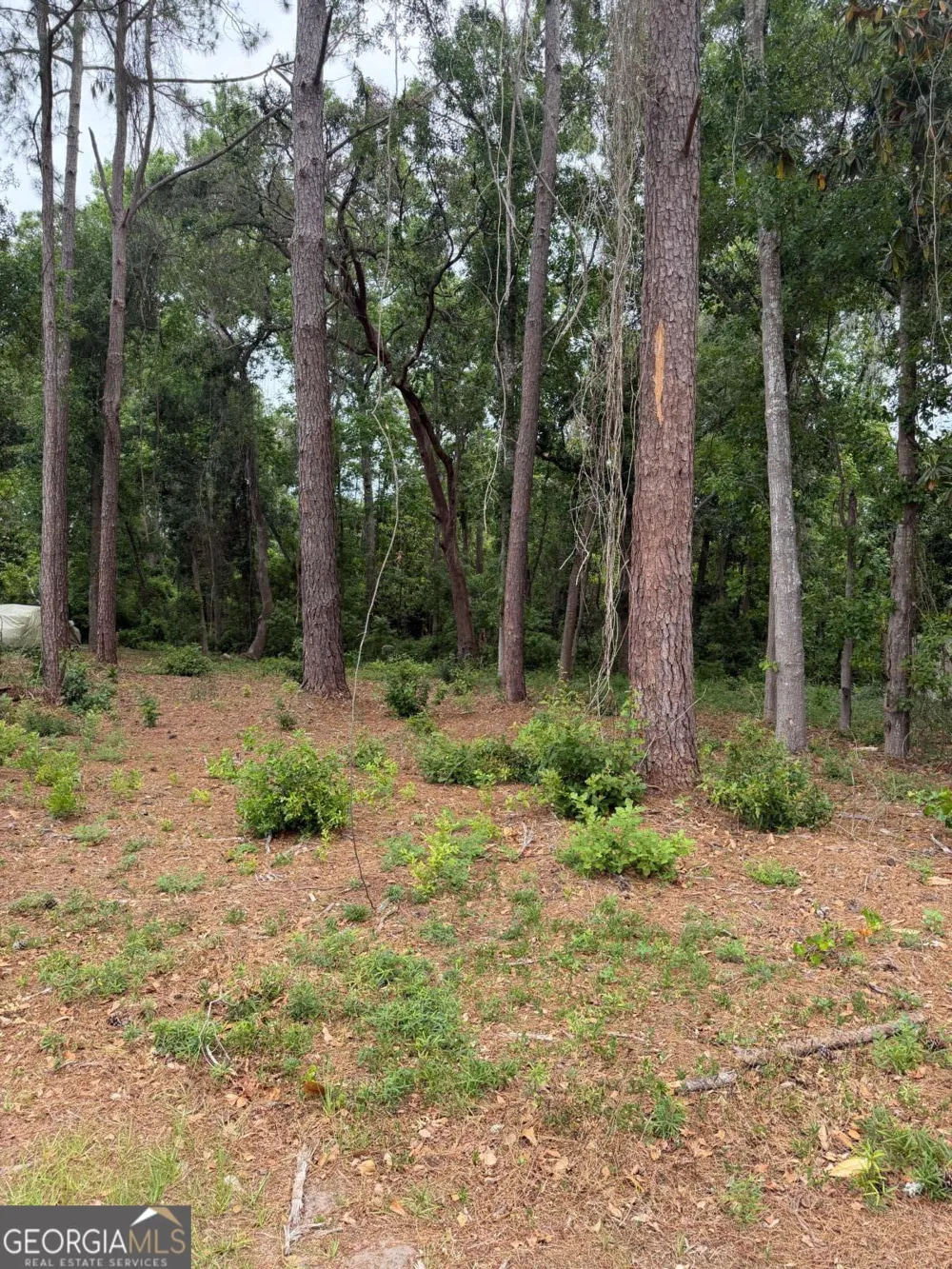 134 Palmera LN Brunswick, GA 31520