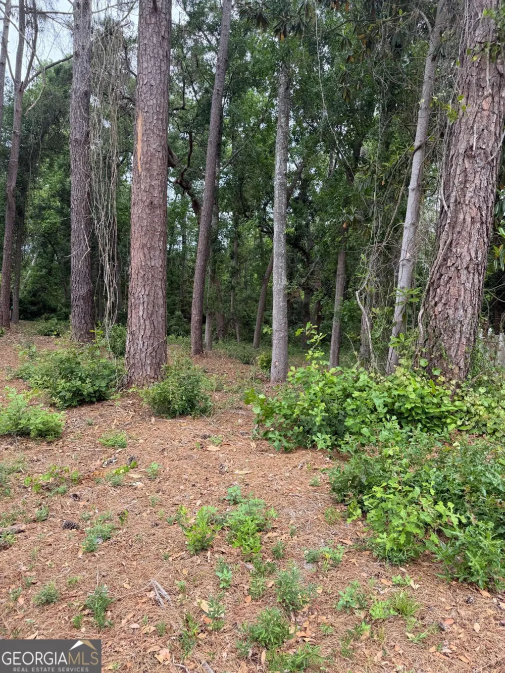 134 Palmera LN Brunswick, GA 31520
