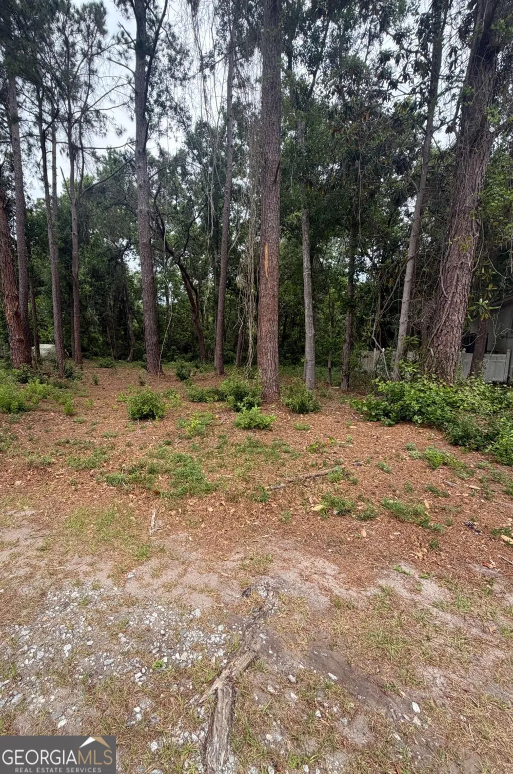 134 Palmera LN Brunswick, GA 31520