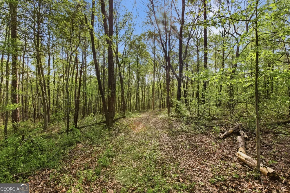 6668 Belton Bridge RD Lula, GA 30554