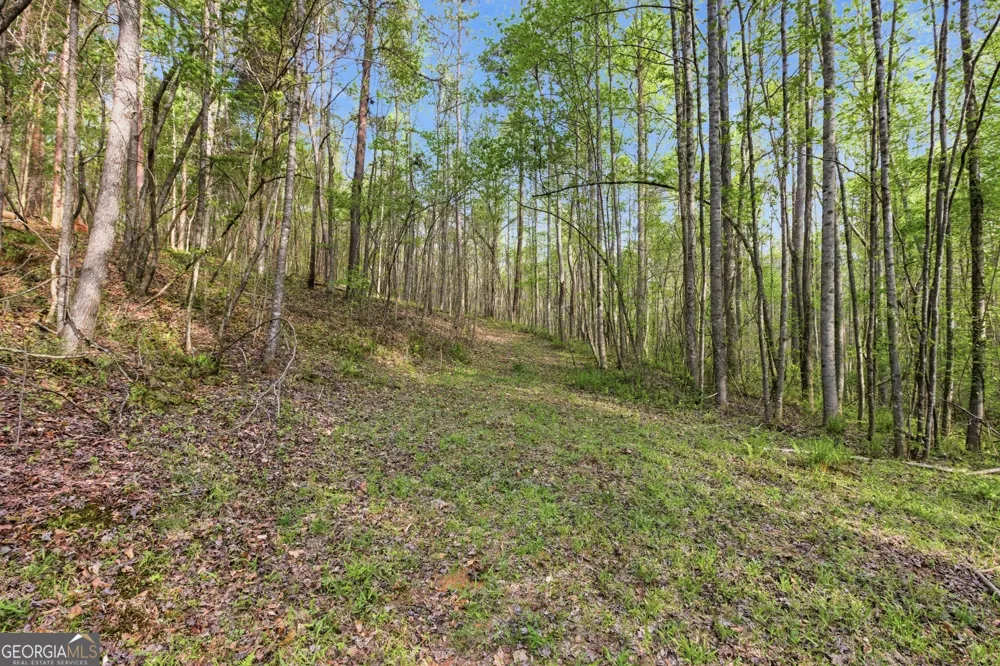 6668 Belton Bridge RD Lula, GA 30554
