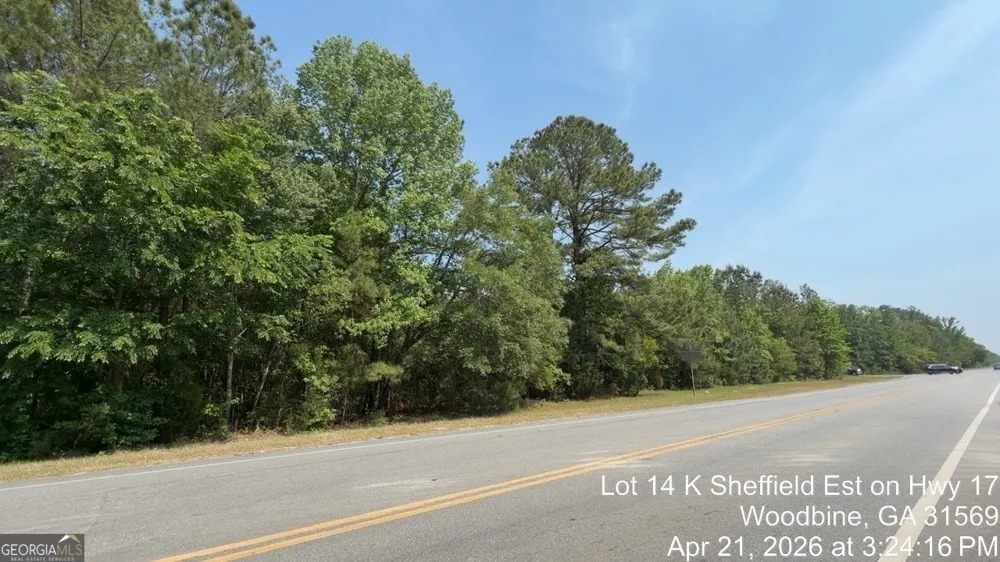LOT 14 K Sheffield Est on Hwy 17 Woodbine, GA 31569