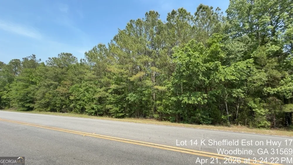 LOT 14 K Sheffield Est on Hwy 17 Woodbine, GA 31569