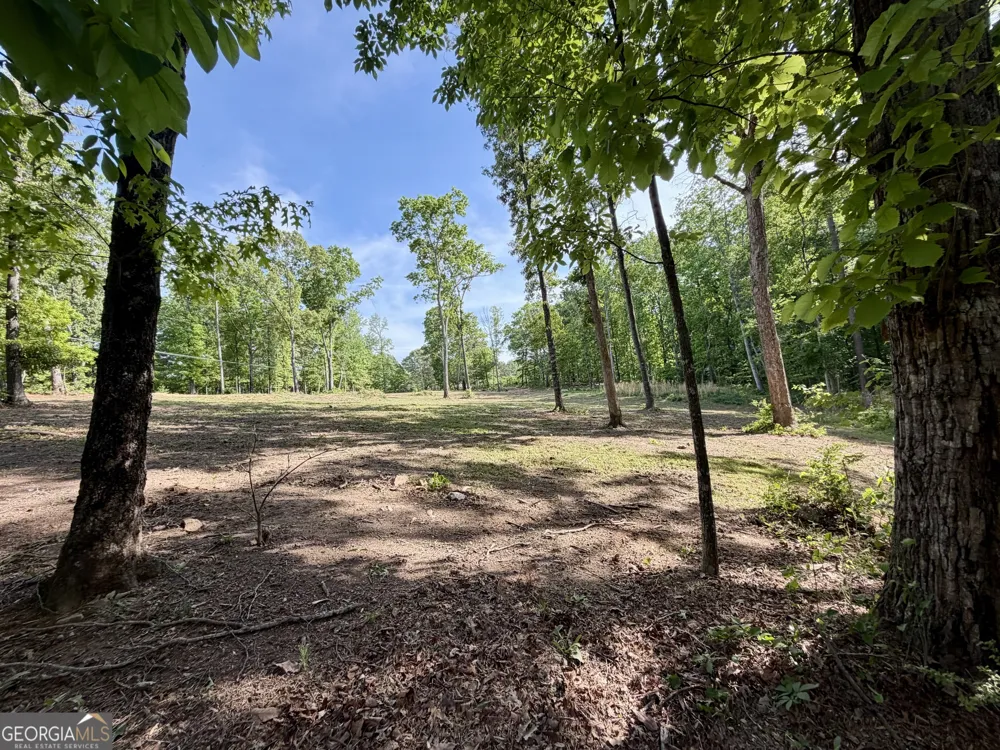 8518 Downs RD Winston, GA 30187