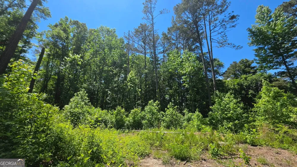6099 Old Alabama RD SW Austell, GA 30168