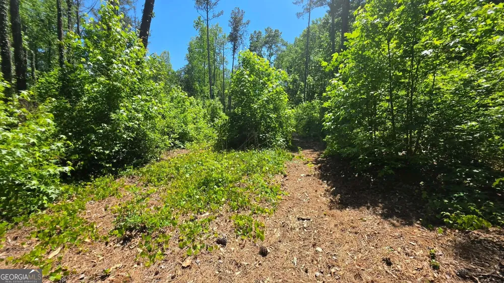 6099 Old Alabama RD SW Austell, GA 30168