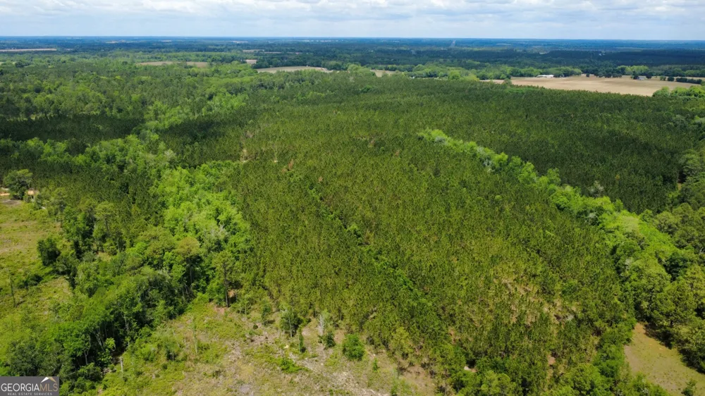 0 Sunflower RD Fitzgerald, GA 31750