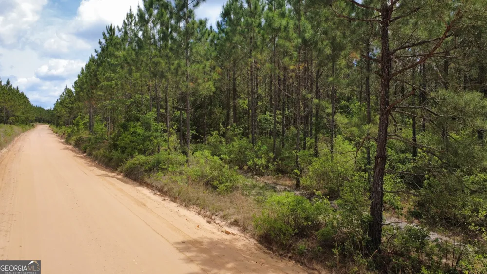 0 Sunflower RD Fitzgerald, GA 31750