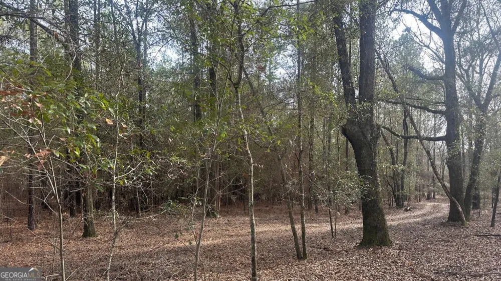 2 Country Club RD Sylvania, GA 30467