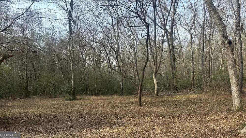 2 Country Club RD Sylvania, GA 30467