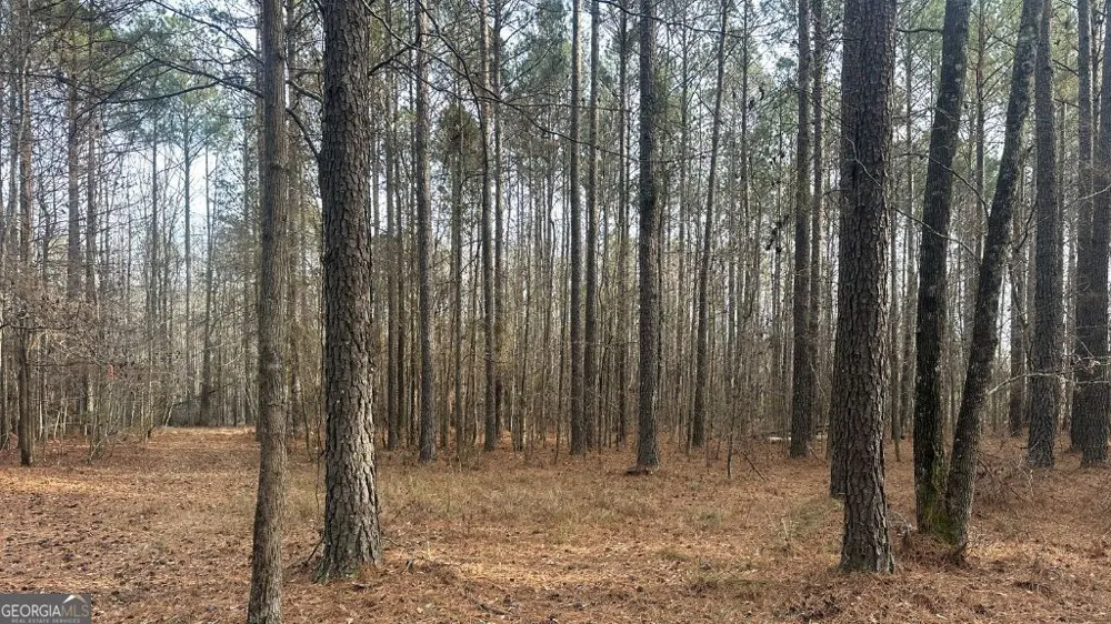 2 Country Club RD Sylvania, GA 30467