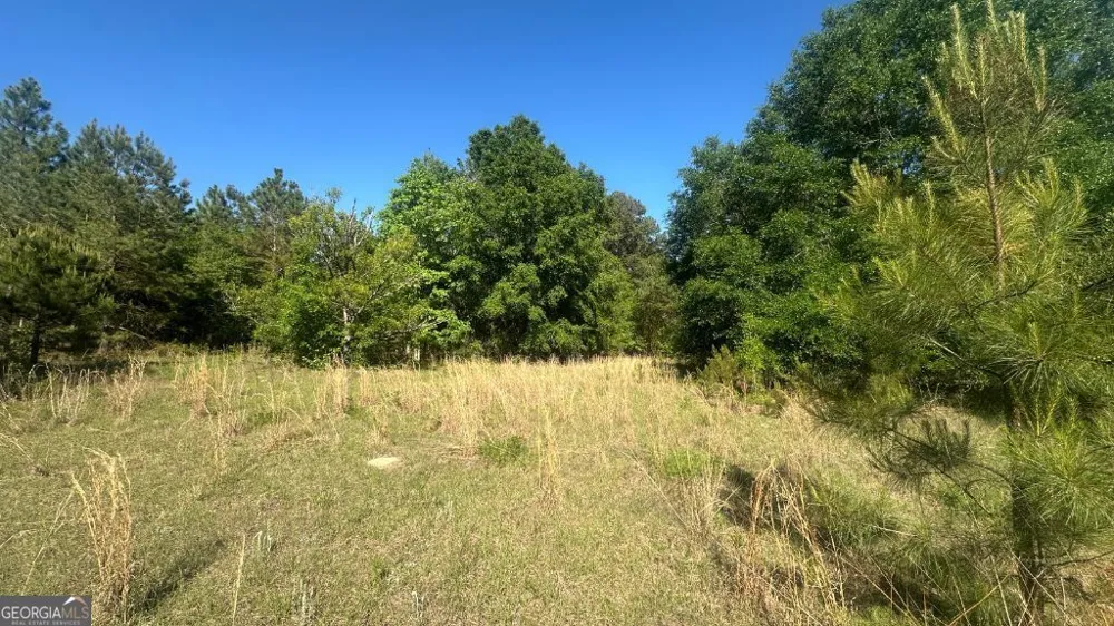 2 Country Club RD Sylvania, GA 30467