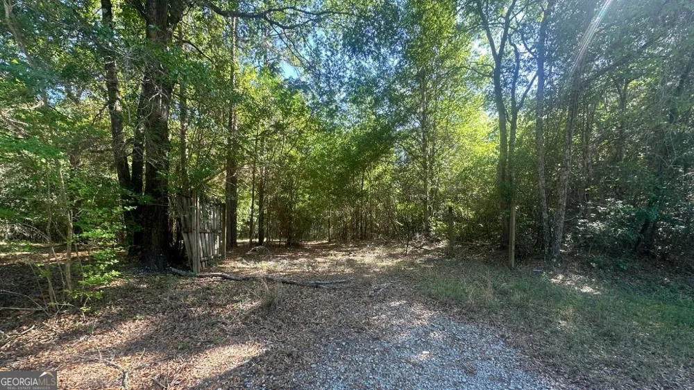 2 Country Club RD Sylvania, GA 30467