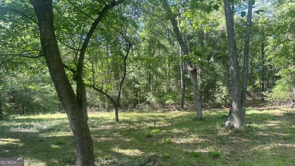 2 Country Club RD Sylvania, GA 30467