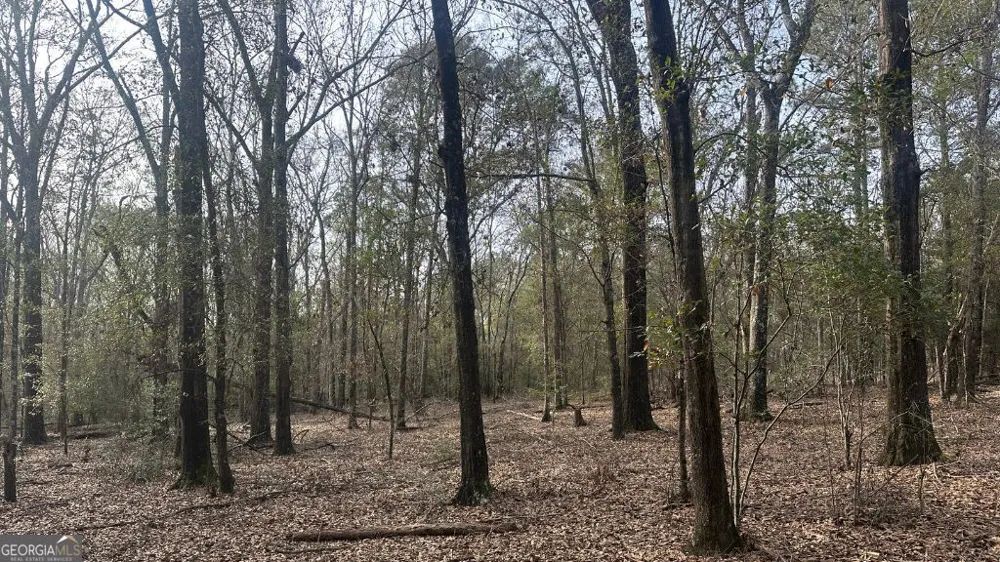 3 Country Club RD Sylvania, GA 30467