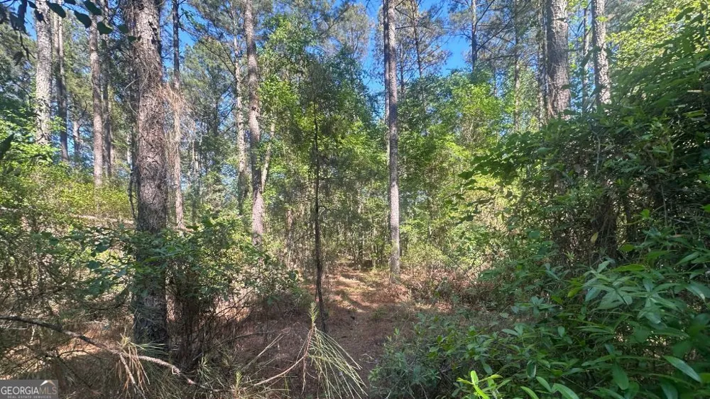 3 Country Club RD Sylvania, GA 30467
