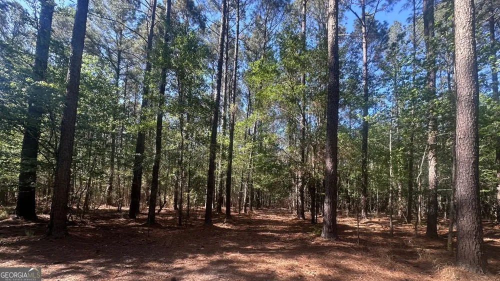 3 Country Club RD Sylvania, GA 30467