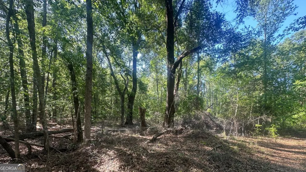 3 Country Club RD Sylvania, GA 30467