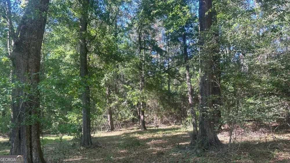 3 Country Club RD Sylvania, GA 30467
