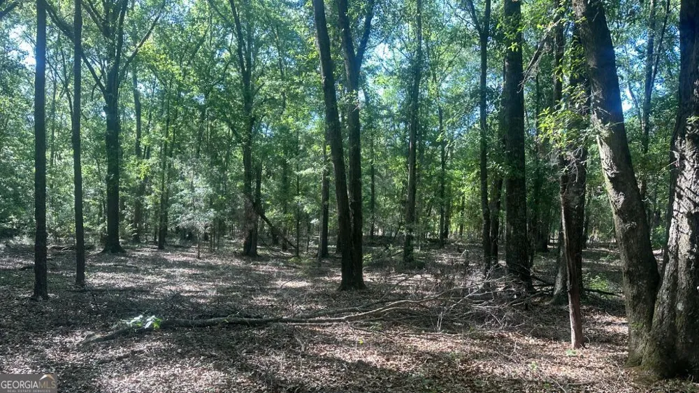 3 Country Club RD Sylvania, GA 30467