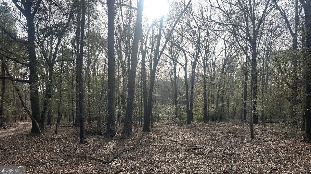 4 Country Club RD Sylvania, GA 30467