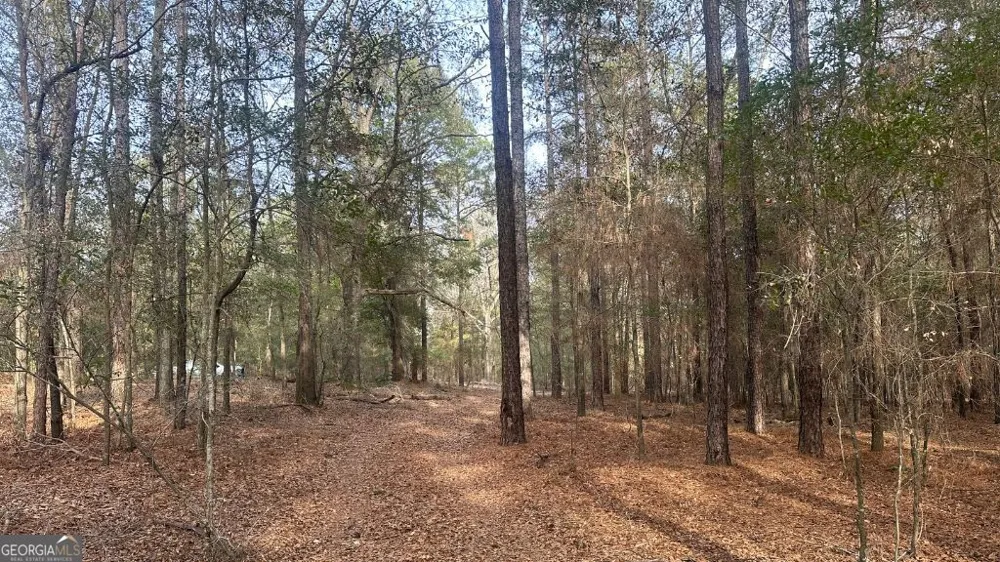 4 Country Club RD Sylvania, GA 30467