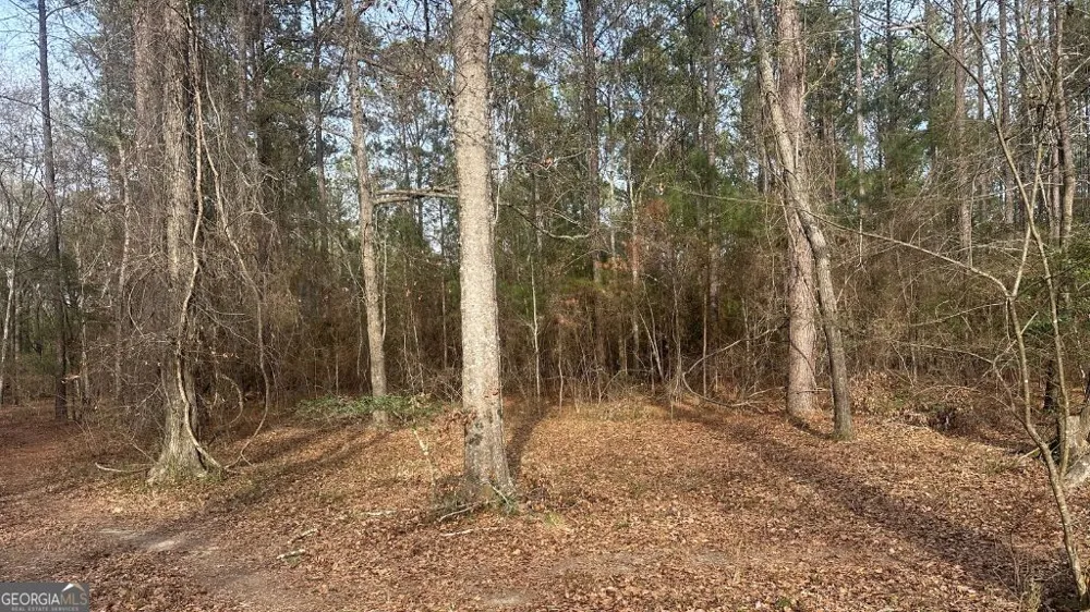 4 Country Club RD Sylvania, GA 30467