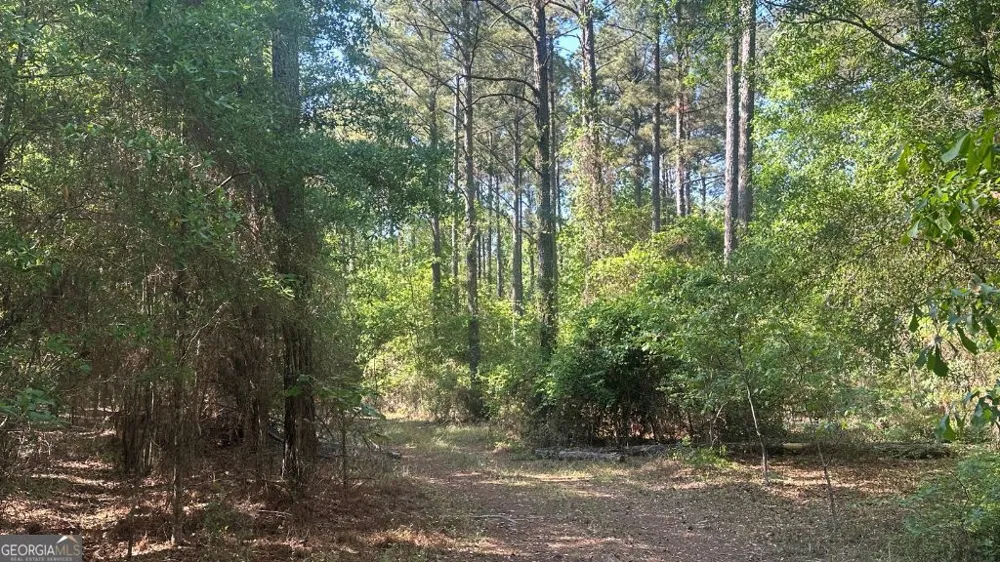 4 Country Club RD Sylvania, GA 30467