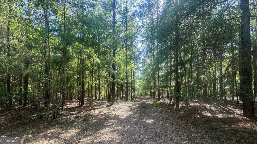 4 Country Club RD Sylvania, GA 30467
