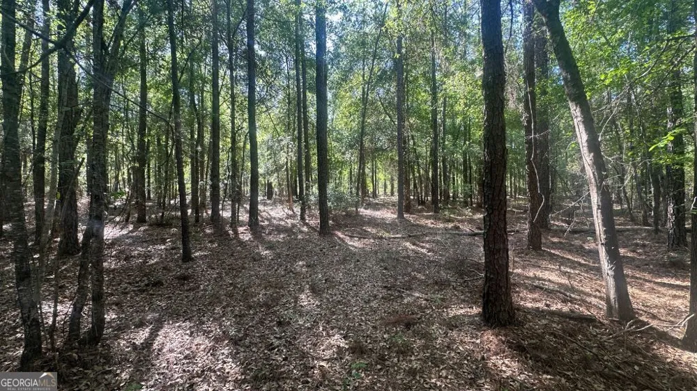 4 Country Club RD Sylvania, GA 30467
