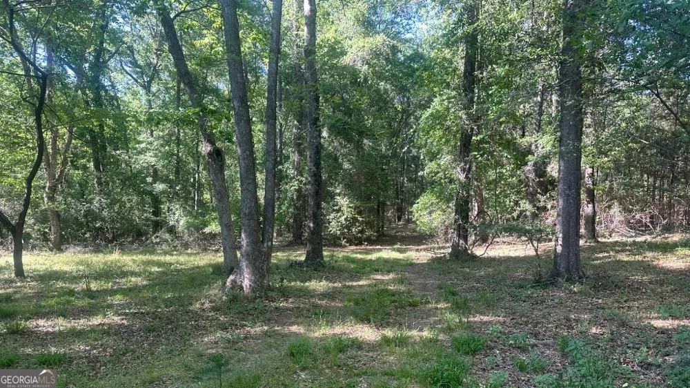 4 Country Club RD Sylvania, GA 30467