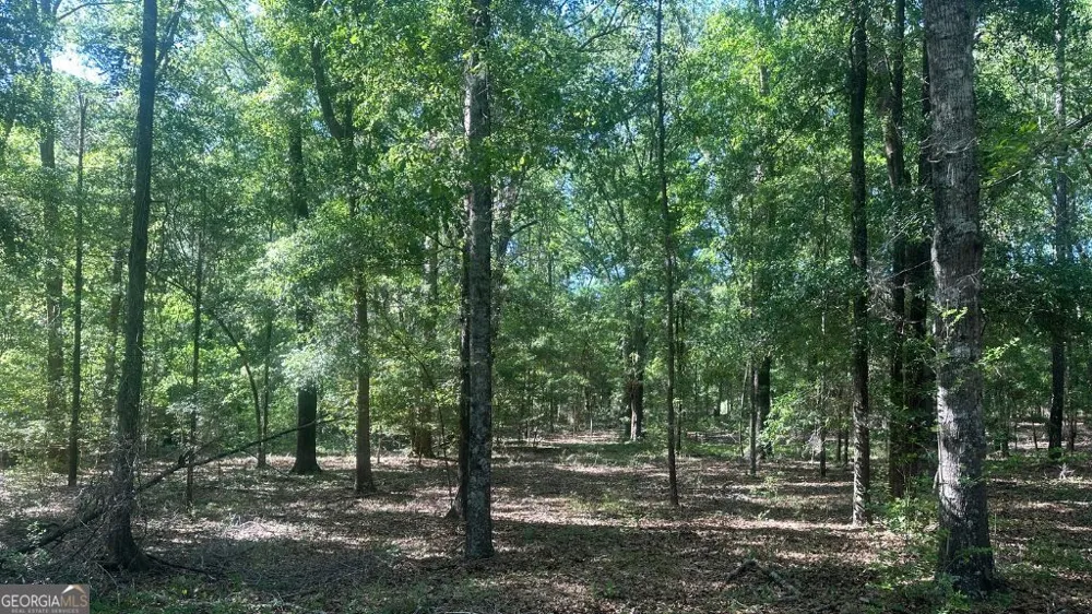 4 Country Club RD Sylvania, GA 30467