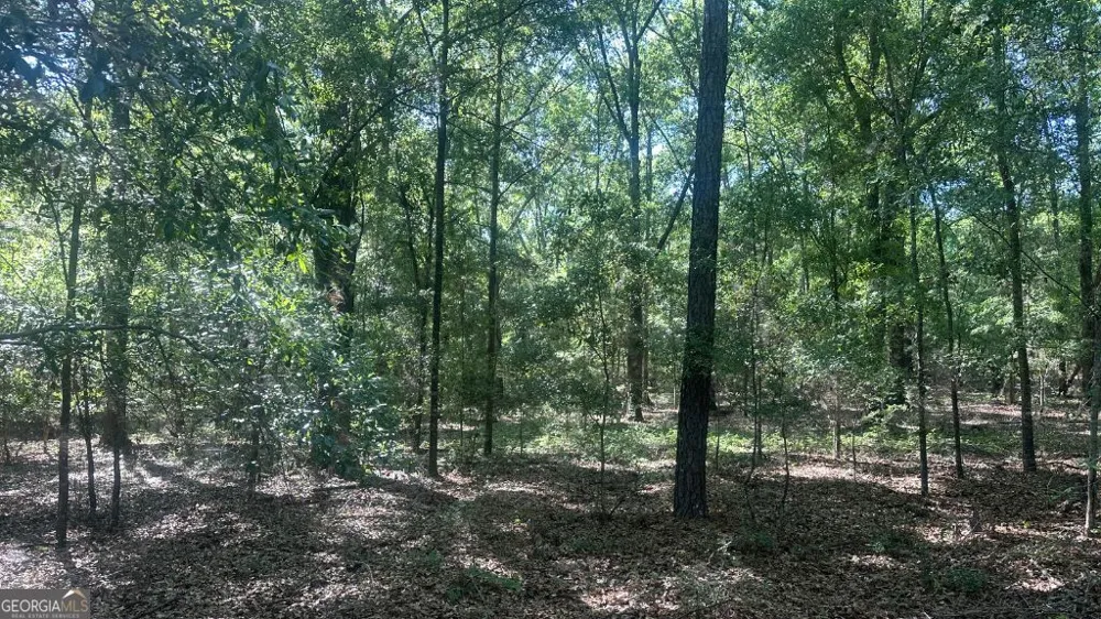 4 Country Club RD Sylvania, GA 30467