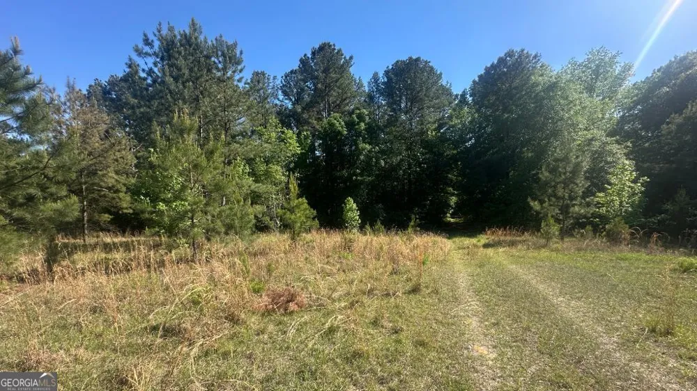 8 Country Club RD Sylvania, GA 30467