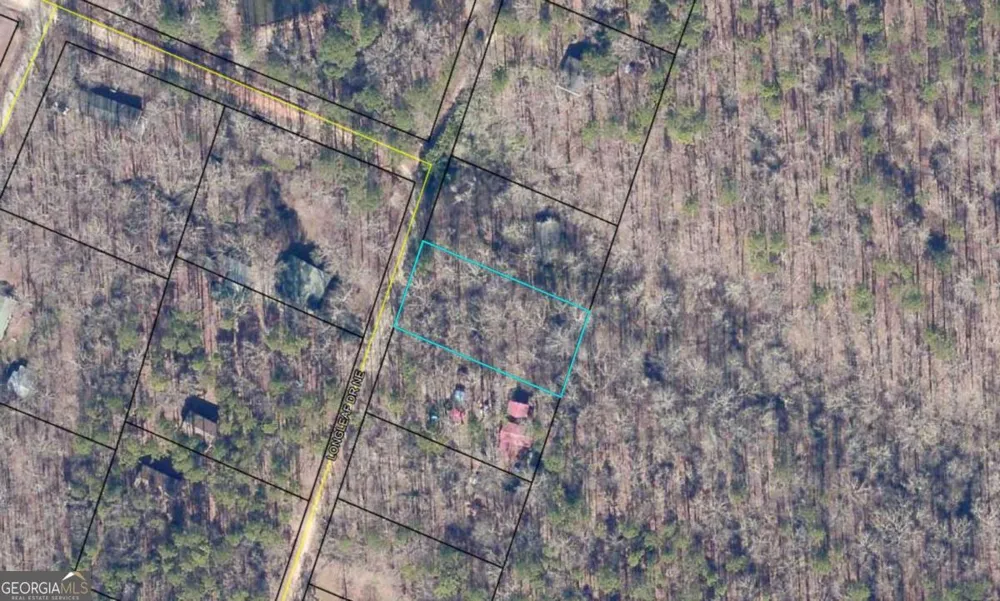 0 Long Leaf DR Thomson, GA 30824