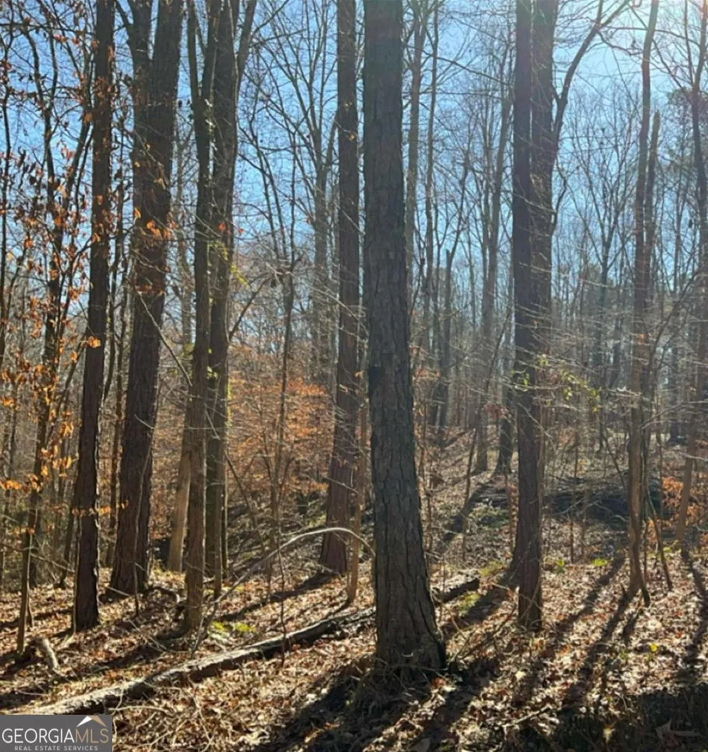 0 Long Leaf DR Thomson, GA 30824