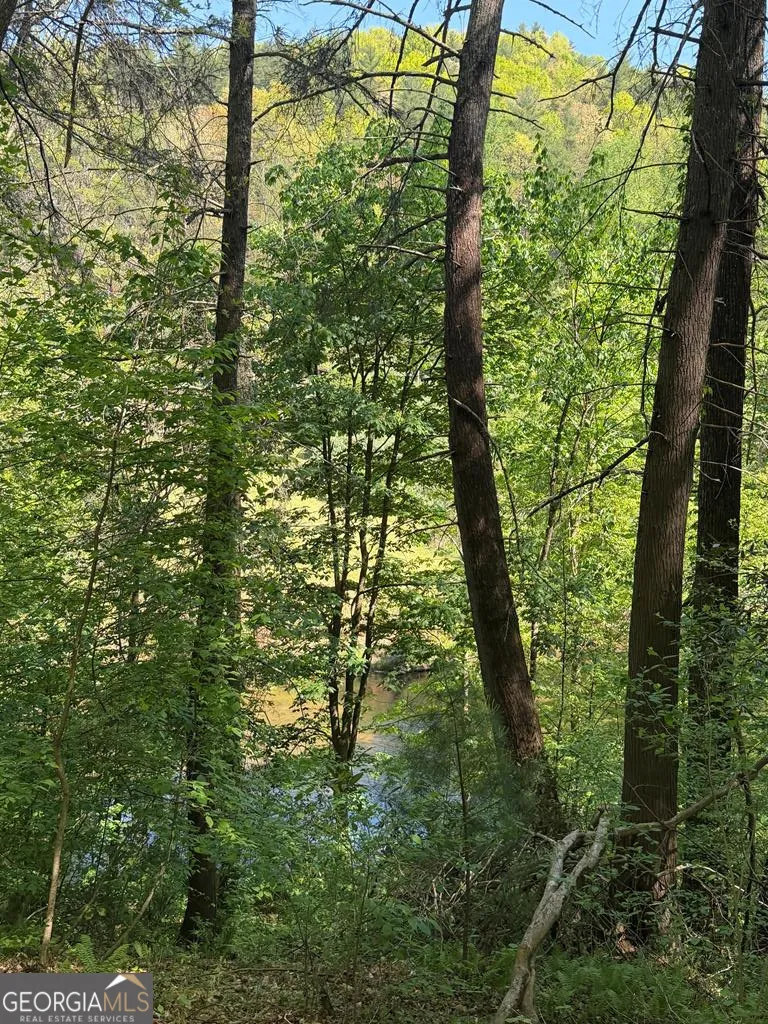 9.8 AC Brown Mountain Suches, GA 30572