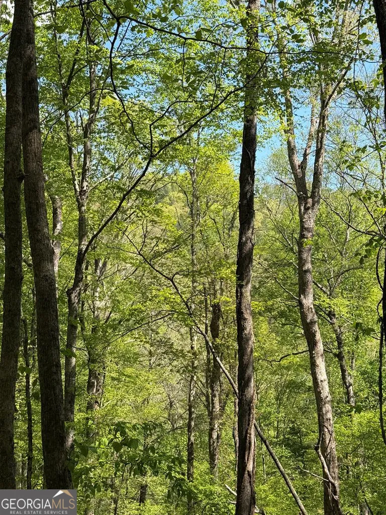 9.8 AC Brown Mountain Suches, GA 30572